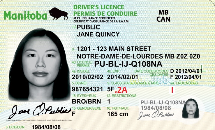 Drivers licence