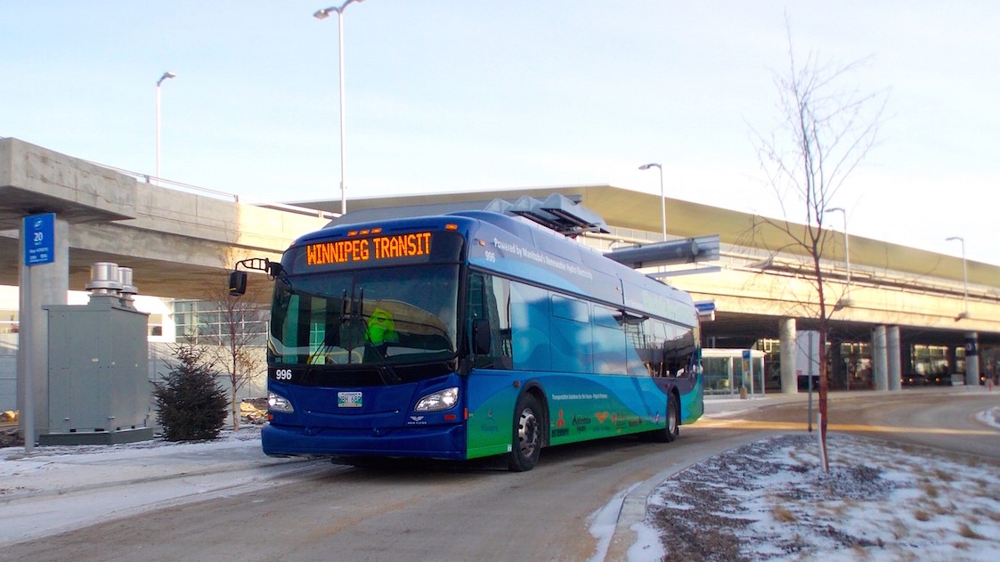 a blue electric bus displaying a digital Winnipeg Transit banner parked at a stop sign marked for route 20