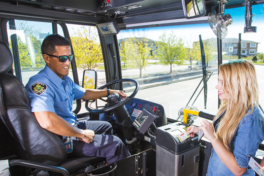 public bus driver