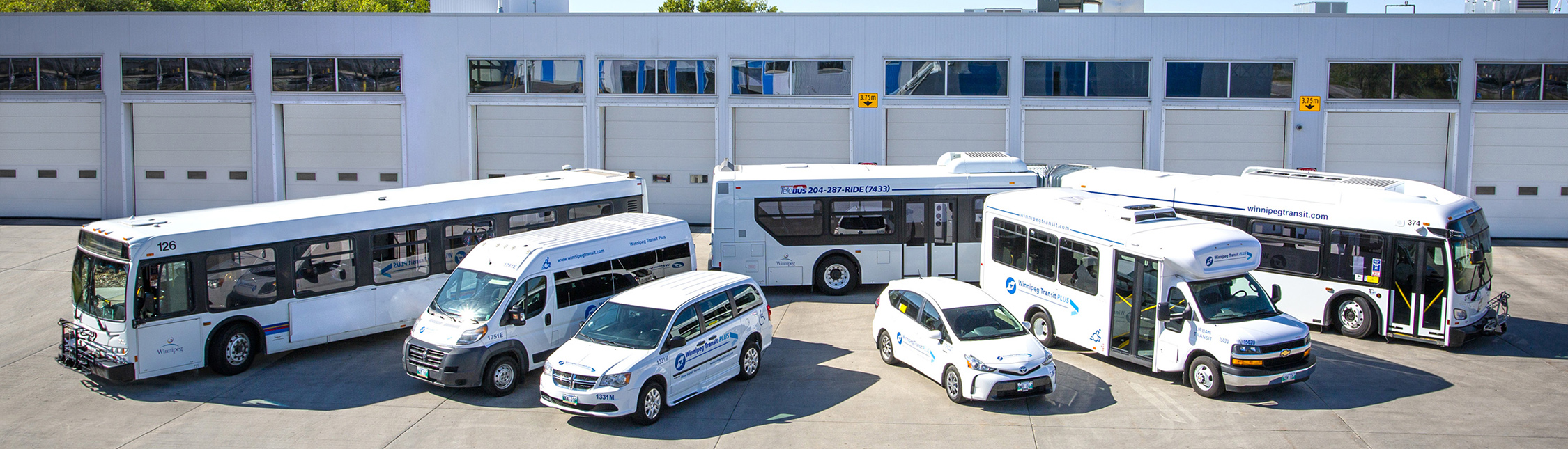 All of the vehicles in the Winnipeg Transit Plus fleet